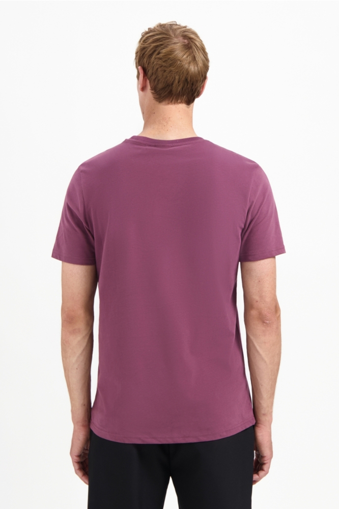 ZACHT T SHIRT 29360775 164 DARK WINE
